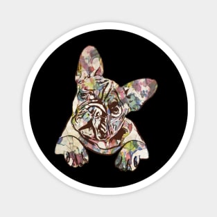 French bulldog, Frenchie 18 Magnet